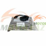 قلوه کلید سمت چپ بنلی پانارئا