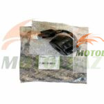 قلوه کلید سمت چپ بنلی پانارئا