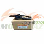 کوئل کی وی ویسته