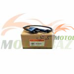 کوئل کی وی ویسته