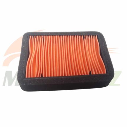 فیلترهوای T250NWE (4)