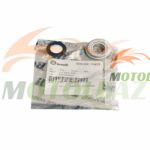 فیبر و فنر بنلی