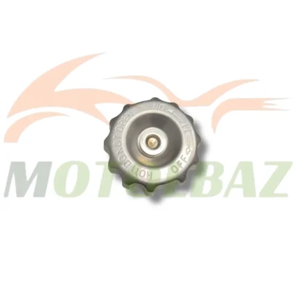 درب رادیاتور بنلی