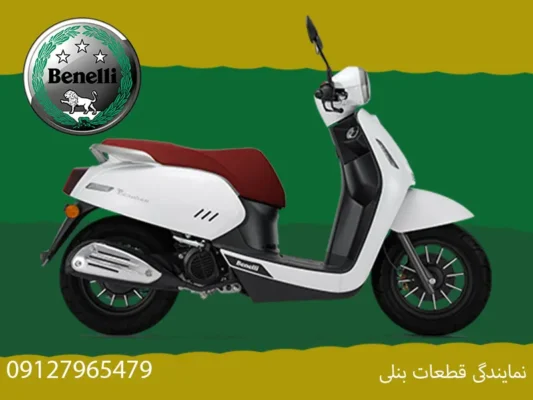 قطعات بنلی پانارئا